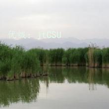 ƫ