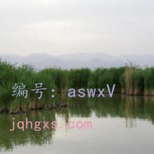 ƫ