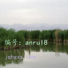 ϣ